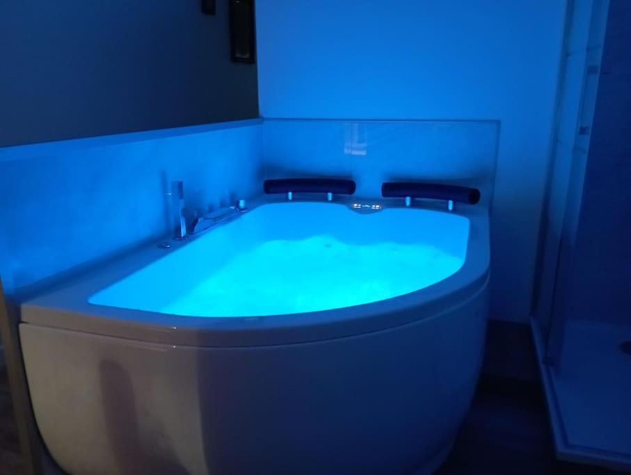 Sejour Sauna Et Jacuzzi Cocon Ла Рош-сюр-Йон Екстериор снимка